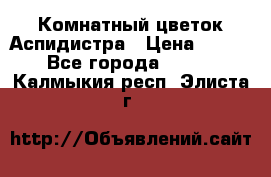 Комнатный цветок Аспидистра › Цена ­ 150 - Все города  »    . Калмыкия респ.,Элиста г.